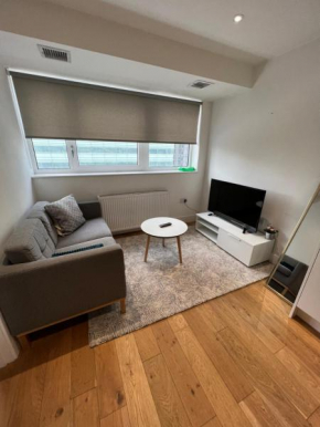 Lovely apartment in the centre of Croydon, Croydon